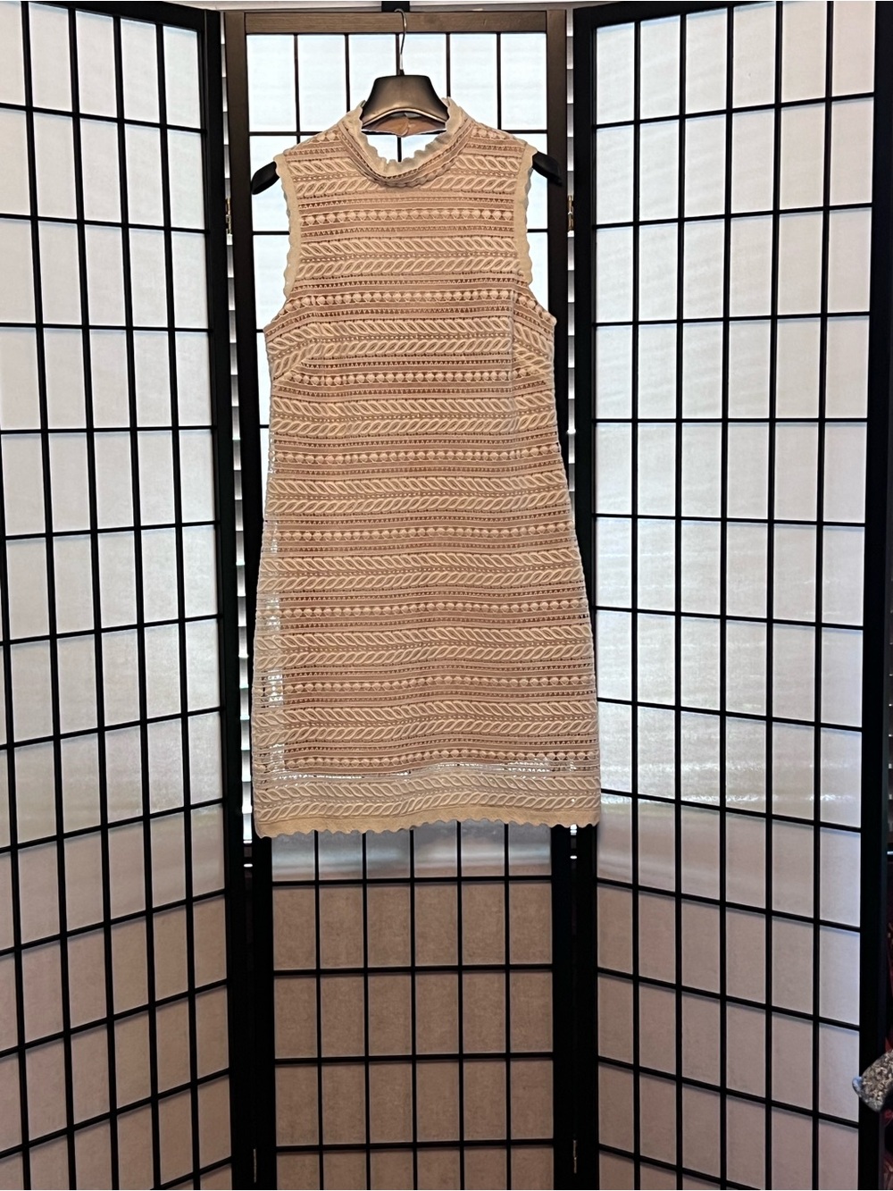 ABS Allen Schwartz Cream Sleeveless Crochet Mini Dress